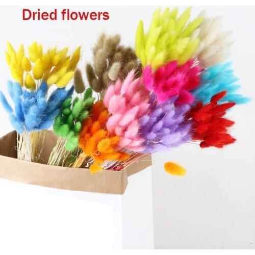 Colorful Dried Flowers Real Flowers Eternal Bouquet for Home Decoration Photography Props AUG889