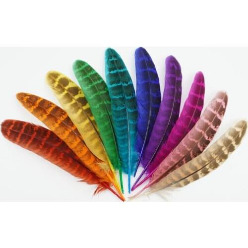 Wholesale10-15cm Female Pheasant Feathers Jewelry Creation Colored Handicraft Accessories Natural Plumas DIY Holiday Decorations