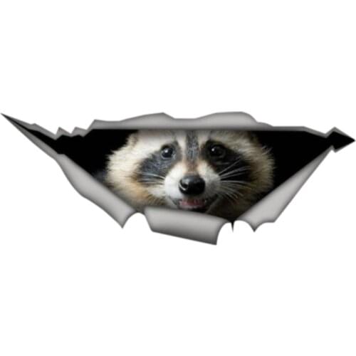 Lifelike Car Sticker 3D Raccoon Animal Accessories Car Window Cover Scratches Waterproof PVC 13cm*5cm