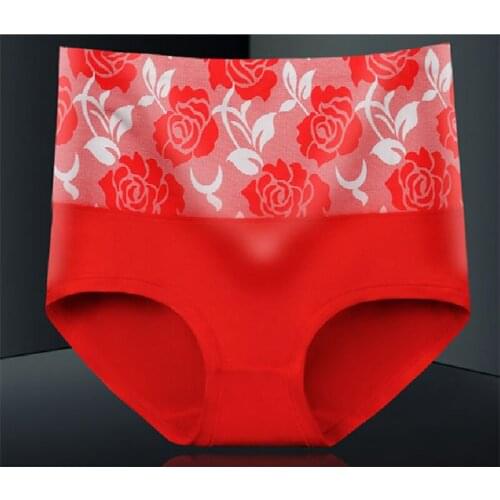 5PCS Women Underwear Plus Size Lot Menstrual Period Womens Bamboo Fiber Underwear Leak Proof Pocket Briefs