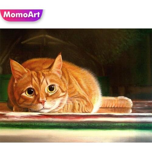 MomoArt Diamond Embroidery Cat Full Drill Square Diamond Painting Animal Cross Stitch Mosaic Picture Of Rhinestone Handmade Gift