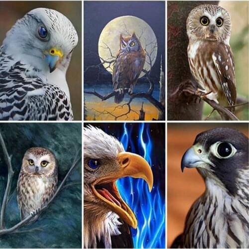 Diy Eagle 5D Diamond Painting Full Square Drill Birds Diamond Embroidery Cross Stitch Mosaic Resin Crafts Kit Home Decor Gift