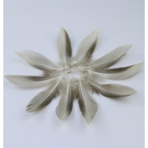 Wholesale 50pcs Natural Duck Feather for Jewelry Making 8-10cm Swan Feather Jewelry Party Decoration Plume Diy Craft