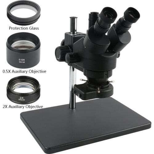 Eakins Women's One-piece Swimwear