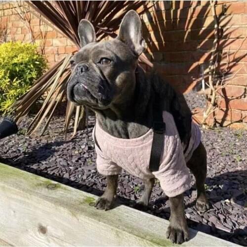 Fashion Adjustable Pet Dog Backpack Harness Bag For Small Medium Dogs Chihuahua Pug French Bulldog Dropshipping ZLB16