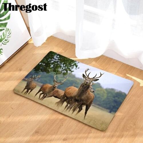 Modern Entrance Anti-Slip Doormat Animal Printed 3D Carpets Bedroom Rugs Decorative Stair Mats Home Kitchen Rugs Washable