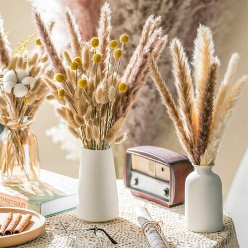 Pampas Grass Dried Flower Bounqut Natural Plants Cheap Goods Gazebos Room Home Decor Indie Room Wedding Decoration Supplies