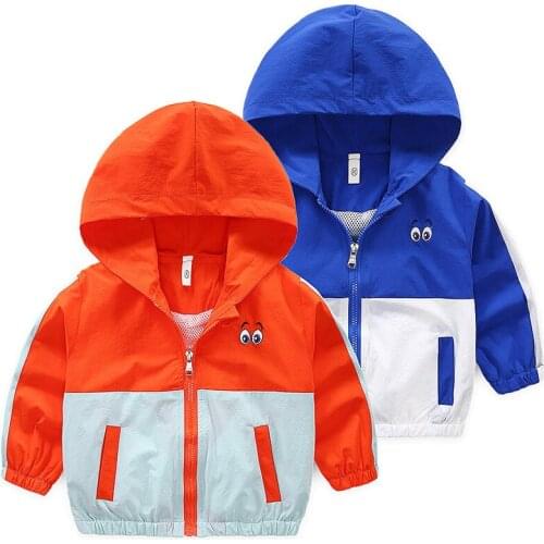 Wholesale Autumn kids Cotton sweatshirt hoodies boys girl print fashion Casual tops spring toddler clothes Childrens clothing