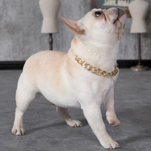 Pet Puppy Dog Chain Collar Punk Gold Cat Wide Punk Necklace Adjustable