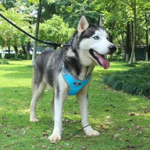 Large Dog Pet Harness Vest Adjustable Reflective Breathable Husty Alaska Harness For Medium Big Dog Breast-band Dog Accessories