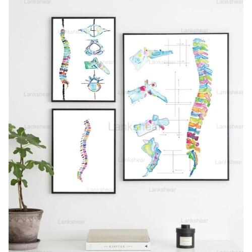 Watercolor Spine Print Anatomy Wall Art Medical Poster for Chiropractor Gift Physical Therapists Room Decorative Picture
