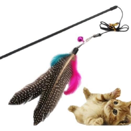 Funny Kitten Play Long Teaser Cute Cat Wand Interactive Fun Toy with Pet Feather Toys Cat Supplies Exercise Play Pet Products