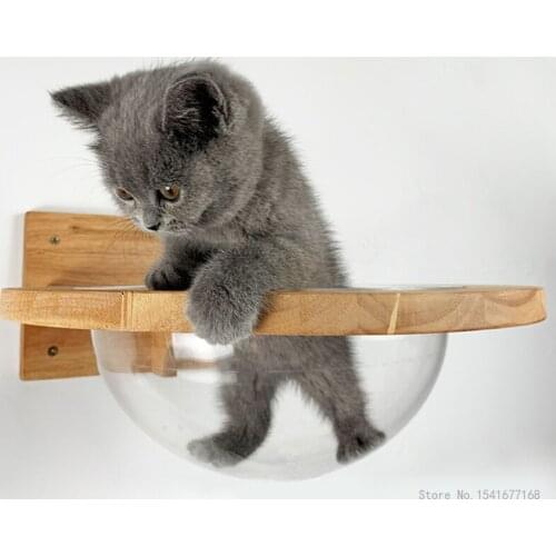 Wall-mounted Transparent Space Capsule Cat Wall House Cat Tree Wooden Cat Climbing Frame Kitten Bed Springboard Pet Furniture