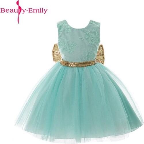 Beauty Emily New Arrival V Back Lace Flower Girls Dresses with Sashes 2019 Fashion Tulle Sequined Pageant Dresses for Girls