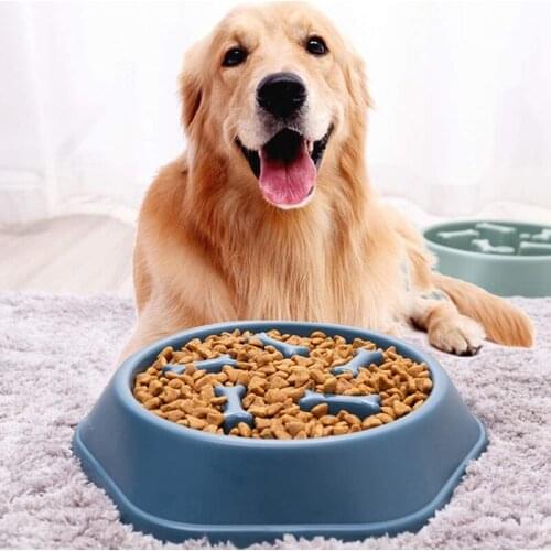 Slow Feeder Dog Bowl Anti-Irrigation Healthy Diet Interactive Alternative Non-Slip Dog Slow Food Pet Bowl Slow
