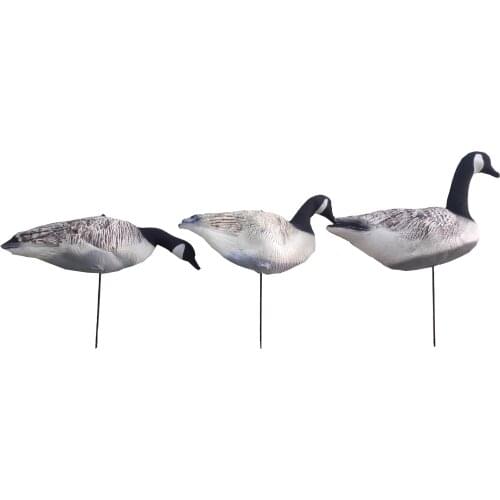 Outdoor Inflatable EVA Canada Goose Decoys Field Hunting Duck Shooting Geese Practise Target