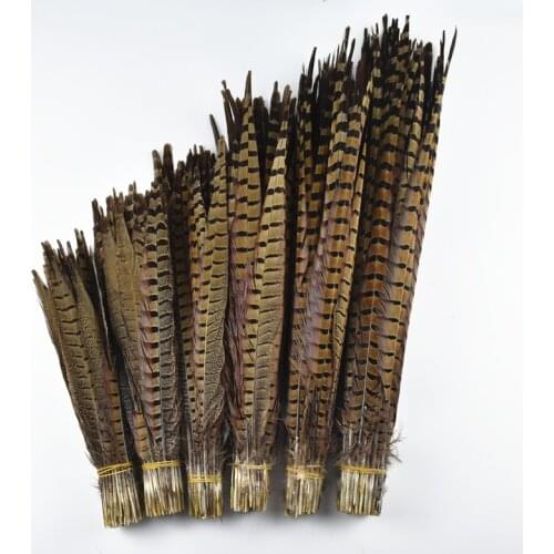 Wholesale 25-75cm10-30" Natural Ringneck Pheasant Tail Feathers for Crafts DIY Decor Long Pheasant Feathers for Decoration Plume