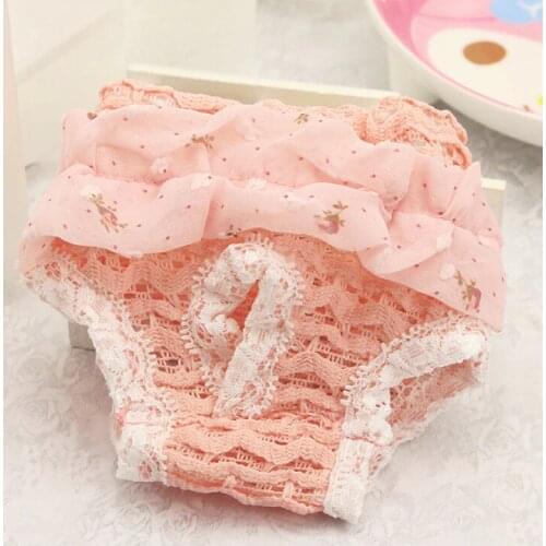 PETASIA Pet Dog Puppy Diaper Pants Physiological Sanitary Shorts Pants Washable Pet Trousers Underwear Diaper L