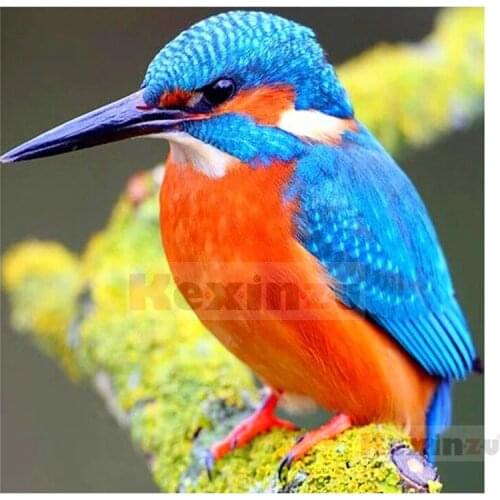Kexinzu 5D DIY Full Square Drill Diamond Painting"Animal Bird"3D Embroidery Rhinestone Cross Stitch 5D Home Decor Gift K710