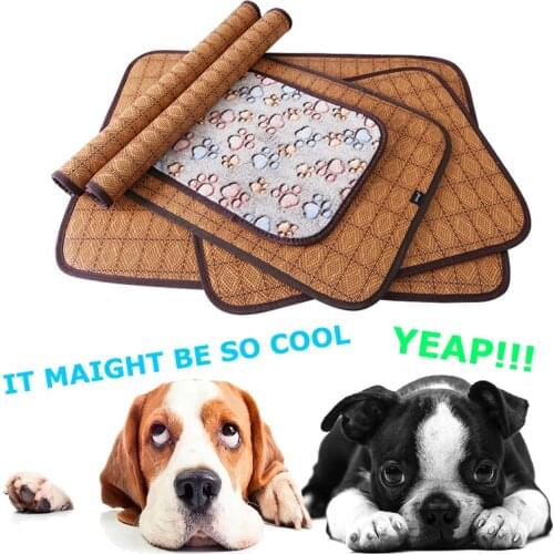 Pet Summer Cooling Mat Dog Cat Winter Soft Fleece Blanket Bed Cushion Puppy Indoor Sofa Floor Mat For Small Medium Large Dogs