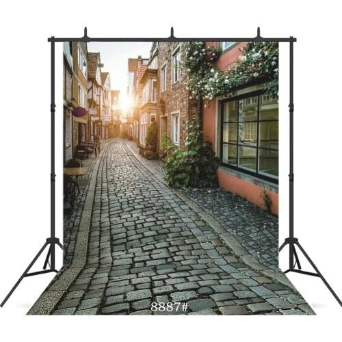 Vintage Street Sunlight Vinyl Photographic Background For Child Baby New Born Shower Portrait Backdrop Studio Shoot Photocall