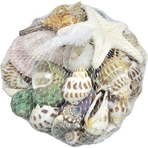 DIY 300g Mixed SeaShells Mediterranean style Sea Natural Shells Craft Decoration