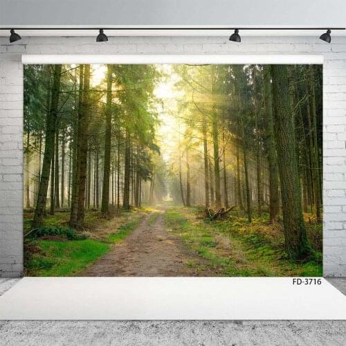 Golden Sunshine Foggy Forest Photographic Backdrops Avenue Vinyl Photography Backgrounds for Children Portrait Pets Photo Studio