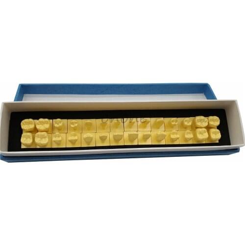 New Arrival 1:1 Permanent Teeth Model With Base Dental Tooth Dentist Dentistry Anatomical Anatomy Model