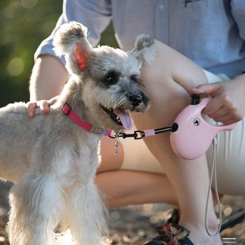 Retractable Pet Dog Leash Automatic Roulette Leash Reflective Traction Rope Walking Leash Lead Belt For Small Large Dogs