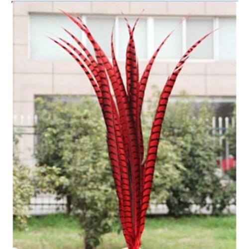 Wholesale 50 pcs red rare golden pheasant tail feather 36-40 inches / 90-100 cm show party decoration