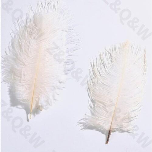 Natural 15-20CM (6-8 inches) ostrich feather bleaching white 10-100PCS costume decoration decoration DIY craft holiday jewelry