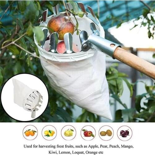 Fruit Picker Head Basket Harvester For Berries Picking Portable Fruits Catcher Citrus Pear Collector 14-16cm Garden Tool