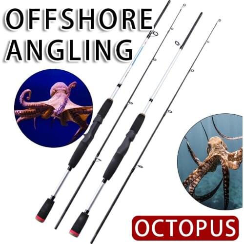 1.65m Hard FRP Fishing Pole Casting Spinning Gear Carp Trou Octopus Squid Rods Kastking Portable Super Light Travel Rock Pesca