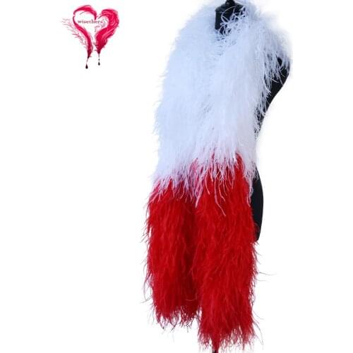 10 Ply Ostrich Feathers Double Boas Scarf Dyed Colorful Beautiful Wedding Stage Feather Shawl Decoration Accessory 2 Meters