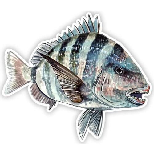 S50490# Various Sizes Personality PVC Decal Sheepshead Fish Fishing Waterproof Car Sticker on Motorcycle Laptop Decorative