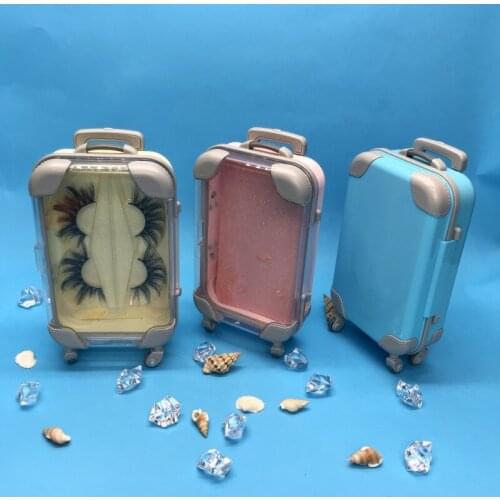 FDshine company eyelash luggage with lash tray and lash brush can hold 2 pairs lahses for 8mm-27mm eyelashes