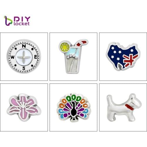 10pcs Mix Style Floating Charms Zinc Alloy Fit Floating Lockets & Floating Locket Bracelet LSFC128-666