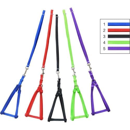 Reflective Nylon Colorful Dog Harness and leash Set Chihuahua for Dog Small Pet Accessories Random delivery Size S M