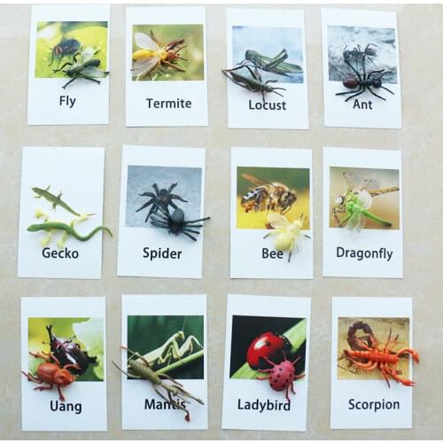 Montessori Infant Toys Insect Cards Set Match Game Learning Educational Toys for Toddlers Juguetes Brinquedos YJ1344H