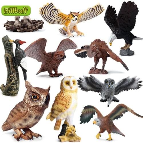 2021 Simulation Wild Animals Eagle Owl Sea Eagle Cub Birds Model Figures Collection Cognition Educational Toys for Children Gift