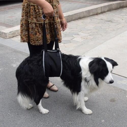 Dog Lift Sling Harness Heavy Duty Adjustable Sling Harness Support for Elderly Senior Dogs with Front Rear Leg Knee