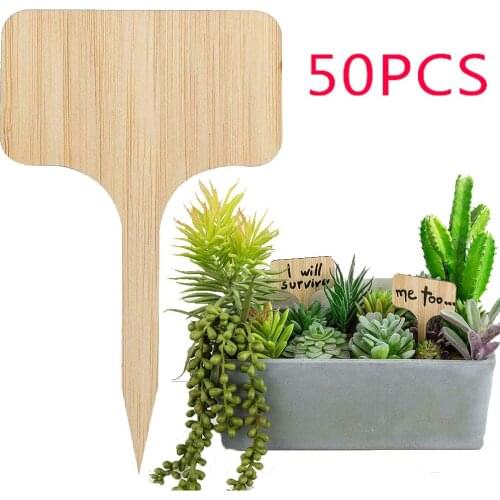 T-Plant Label,Wooden Decorative Bonsai Recording Board, Garden Design Decorative Garden Potted Plants Decor 4.2x4.1x2.3cm TW111