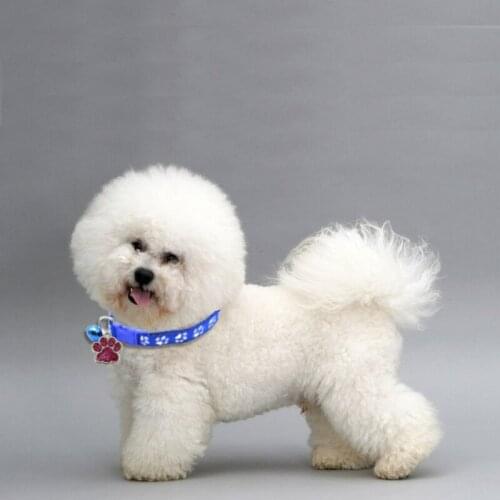 Personalized Engraved Collar Pet Tag Set Pet Name Pendant Customized Dog Tag Collar Nameplate Cat Necklace Collar Accessories