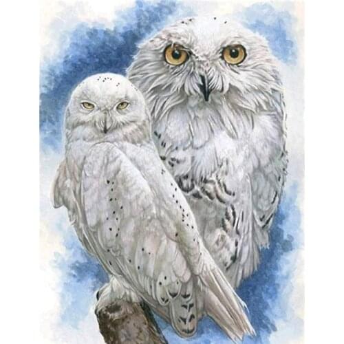 White Barn Owl Cross Stitch Kits Animal Needlework Embroidery Crafts 14CT Unprinted DIY Arts Handmade Home Decor