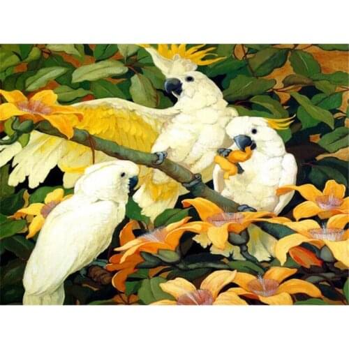 3D Kruissteek Mozaïek Animal Bird Volledige Vierkante/Ronde Diamant Borduurwerk Diamant Schilderij Vol Display 5D Strass Home De