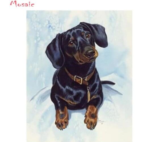 Full Drill Square Diamond 5D DIY Diamond Painting"dachshund dog"Diamond Embroidery Cross Stitch Rhinestone Mosaic dog Painting