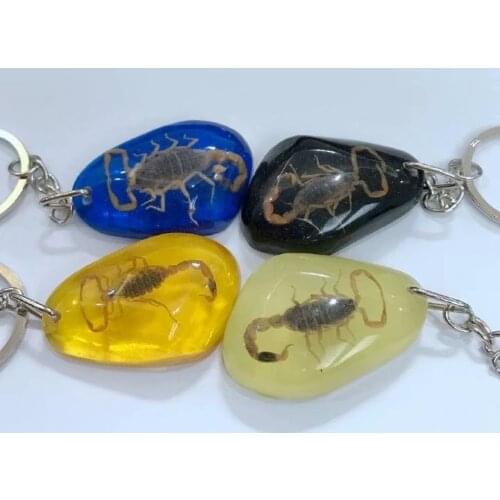 9 pcs real scorpion mixed back color newest Keychain vogue Specimen
