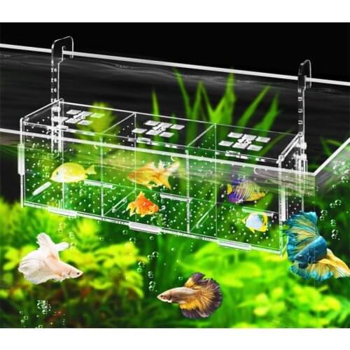 Clear acrylic isolation box for fish tank, aquarium, fish tank, incubation, single and double grid reproduction