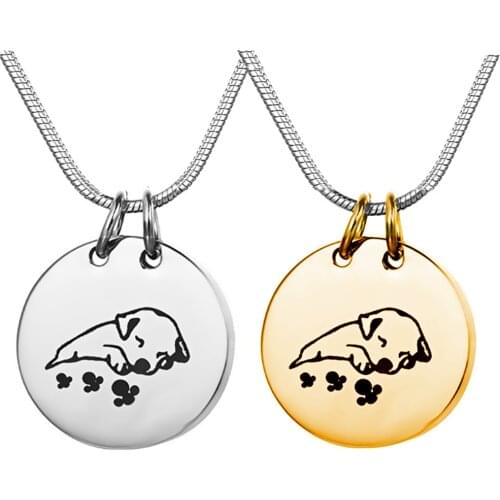 Stainless steel Urns Pets Dog Cremation Ashes Necklace Pendant Keepsake Pets Memorials Locket