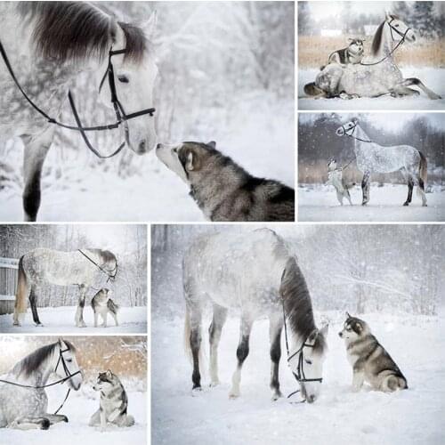 5D Animal Horse Diamond Painting Dog Cross Stitch Kit Mosaic Full Square Drill Diamond Embroidery Home Craft Art Decoration Gift